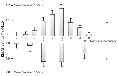 圖17：阿迪窗口或身體最佳吸收的生物頻率窗口