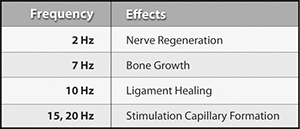 圖18：身體組織同樣需要0-30 赫茲