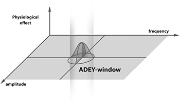 圖29：身體的頻率和振幅窗口